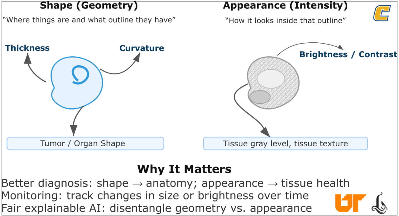 Shape vs. Appearance explainer