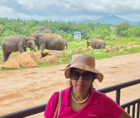 Associate Professor Lakmali Weerasena stands in front of several elephants during her professional development leave in Sri Lanka