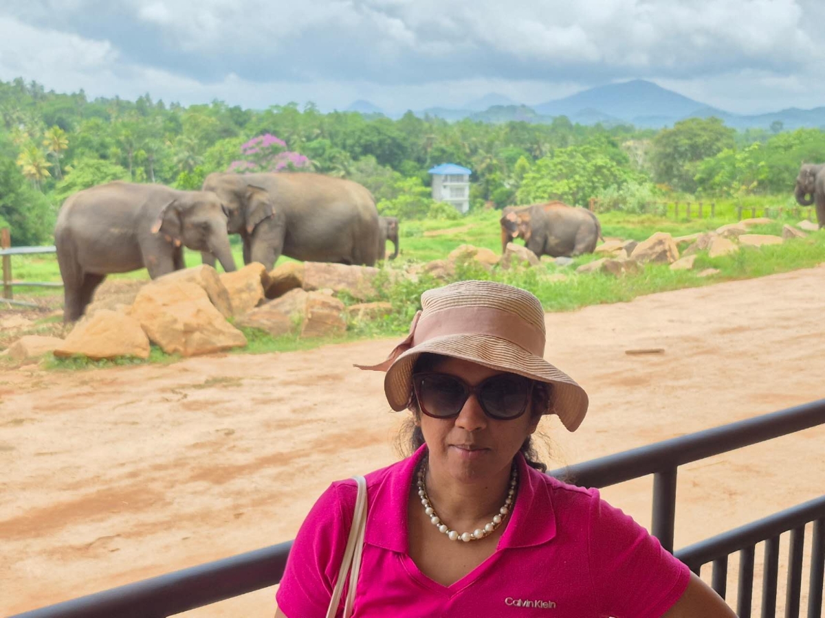 Associate Professor Lakmali Weerasena stands in front of several elephants during her professional development leave in Sri Lanka